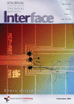 Spine-Shaped Gold Protrusions Improve the Adherence and Electrical Coupling of Neurons with the Surface of Micro-Electronic Devices